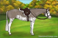 Horse Color:Grullo Sabino Splash  and Silver Grullo Sabino Splash 