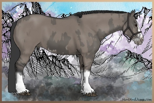 Horse Color:Grullo Sabino Splash  and Grullo Sabino Splash Frame 