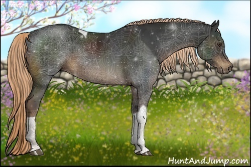 Horse Color:Liver Chestnut Tobiano Rabicano