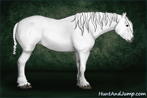 Horse Color:Gray Bay