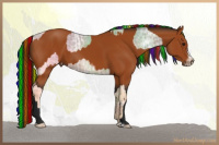 Horse Color:Painted Silver Buckskin Ice  and Gray Bay Frame 