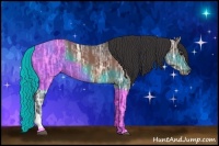 Horse Color:Bay Ice