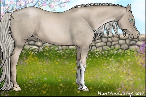 Horse Color:Chocolate Palomino Pearl