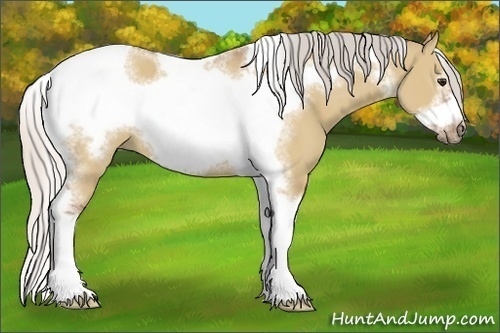 Horse Color:Silver Bay Dun Sabino Tobiano Frame Rabicano 