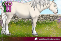 Horse Color:Silver Amber Cream Champagne Dun 