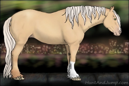 Horse Color:Silver Amber Champagne