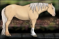 Horse Color:Silver Amber Champagne