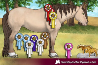 Horse Color:Amber Champagne Dun