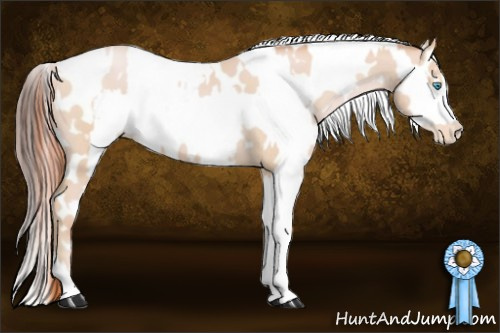 Horse Color:Buckskin Snowdrop Near Leopard and Amber Champagne Splash Near Leopard