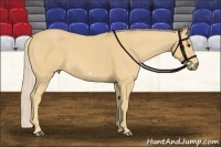Horse Color:Palomino Frame 