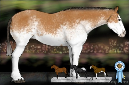 Horse Color:White Spotted Bay Splash Varnish 