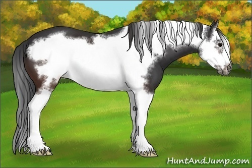 Horse Color:Brown Splash Frame 