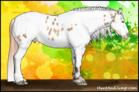 Horse Color:Amber Champagne Near Leopard  and Amber Champagne Splash Near Leopard 