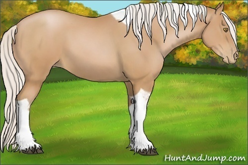 Horse Color:Silver Bay Pearl Tobiano