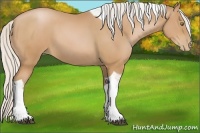 Horse Color:Silver Bay Pearl Tobiano