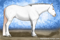 Horse Color:Sable Champagne Sabino Tobiano Blanket  and Sable Champagne Sabino Tobiano Blanket 