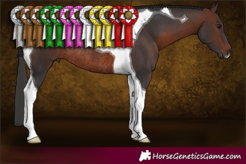 Horse Color:Brown Tobiano Rabicano