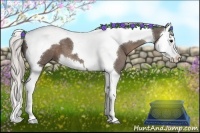 Horse Color:Silver Black Splash Tobiano 