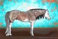 Horse Color:Bay Ice Splash