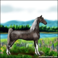 Horse Color:Silver Black Ice Tobiano 