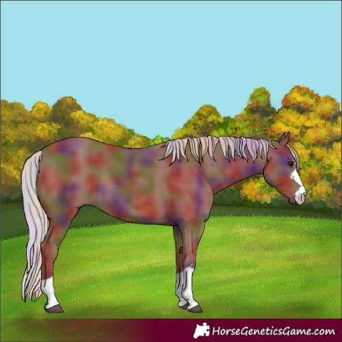 Horse Color:Nacre Chocolate Silver Black