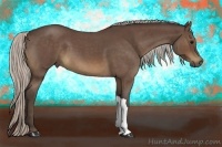 Horse Color:Silver Brown Roan 