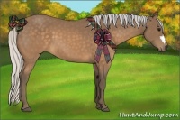Horse Color:Silver Buckskin 