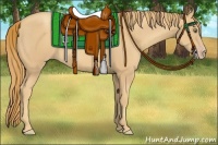 Horse Color:Gold Champagne