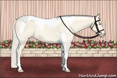 Horse Color:Cremello Dun Tobiano