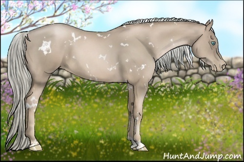 Horse Color:White Spotted Chocolate Palomino Pearl 