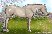 Horse Color:White Spotted Chocolate Palomino Pearl 