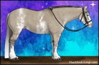 Horse Color:White Spotted Smoky Grullo Splash 