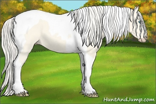 Horse Color:Cremello Dun Tobiano