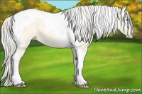 Horse Color:Cremello Dun Tobiano 