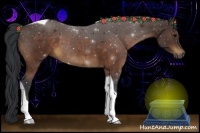 Horse Color:Brown Tobiano 