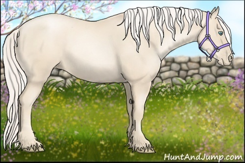 Horse Color:Gold Cream Champagne Pearl 