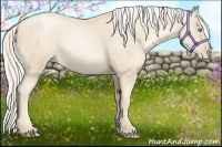 Horse Color:Gold Cream Champagne Pearl 
