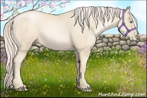 Horse Color:Gold Cream Champagne Pearl 