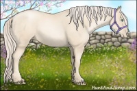 Horse Color:Gold Cream Champagne Pearl 