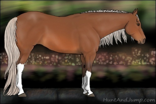 Horse Color:Silver Bay 