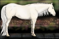 Horse Color:Silver Amber Cream Champagne Pearl