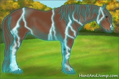 Horse Color:Thunderstruck Chestnut