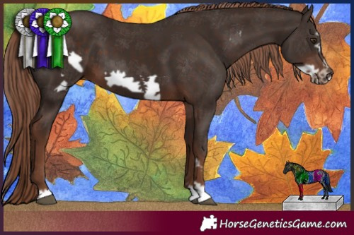 Horse Color:Liver Chestnut Frame 