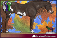 Horse Color:Liver Chestnut Frame