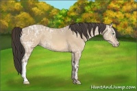 Horse Color:Amber Cream Champagne Ice 