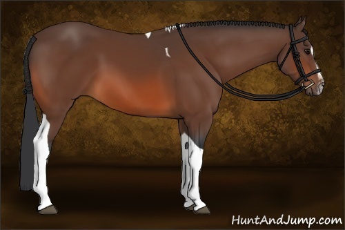 Horse Color:Bay Sabino Tobiano 