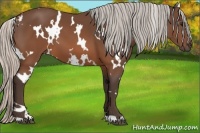 Horse Color:White Spotted Silver Brown 