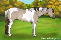 Horse Color:Red Dun Tobiano and Brown Dun Tobiano