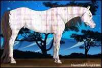 Horse Color:Plaid  Amber Champagne Ice Roan 