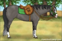 Horse Color:Grullo Splash 
